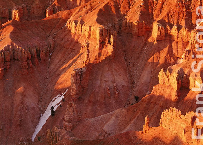 Forgotten Snow Cedar Breaks &copy; Frank Sirona