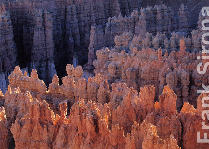 Dwarf Parade Bryce Canyon &copy; Frank Sirona