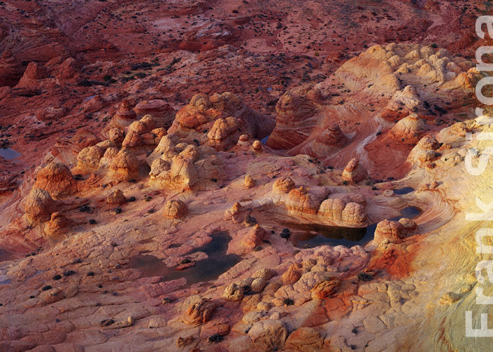 Candyland Petrified Dunes &copy; Frank Sirona