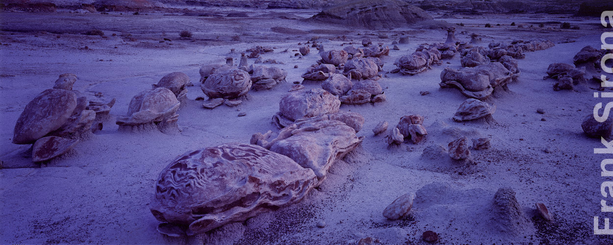 Outbreak &copy; Frank Sirona