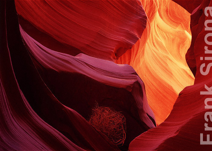 In the Cradle Slot Canyon &copy; Frank Sirona