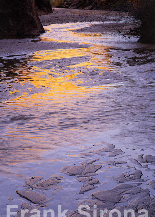 Twilight Canyon Grand Staircase Escalante &copy; Frank Sirona
