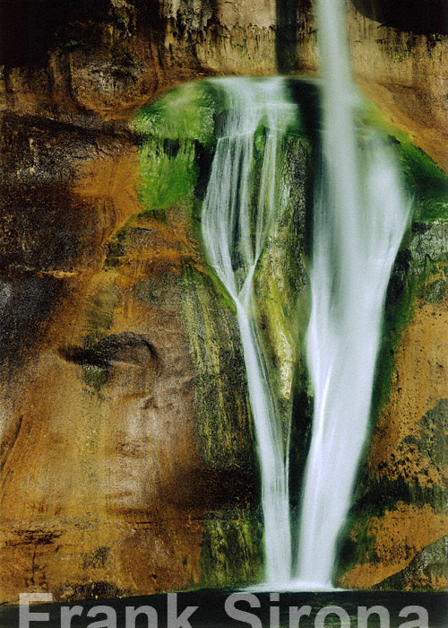 Maidenhair Falls Calf Creek &copy; Frank Sirona