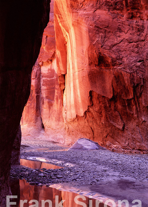After the Flood Desert &copy; Frank Sirona