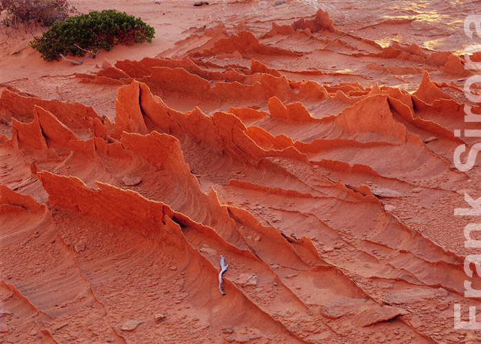 Dragon Backs Rock Veins &copy; Frank Sirona