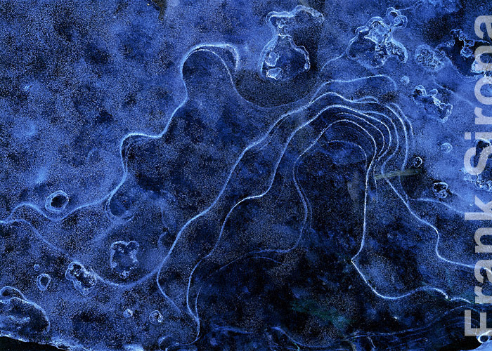 Shapes in blue Ice Pattern &copy; Frank Sirona